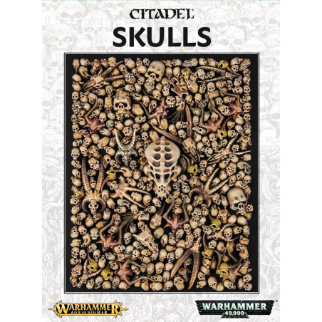 CITADEL SKULLS 64-29