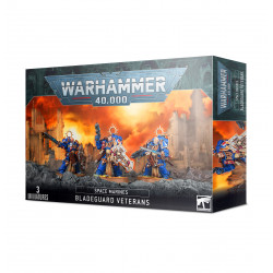 SPACE MARINES BLADEGUARD VETERANS 48-44